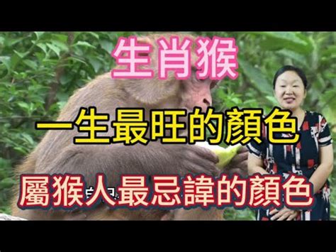 屬猴適合方位|【屬猴房子方位】揭秘！屬猴好宅方位指南：打造風水絕佳居所